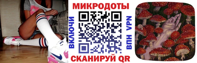 продажа наркотиков  Славянск-на-Кубани  Псилоцибиновые грибы Psilocybine cubensis 