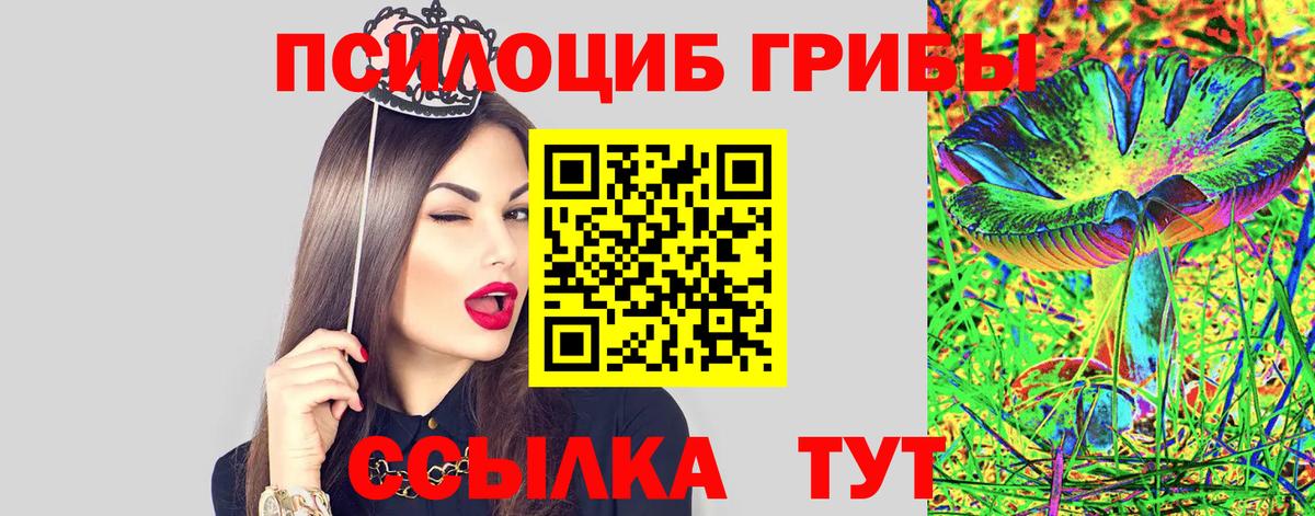 Псилоцибиновые грибы Psilocybine cubensis Славянск-на-Кубани