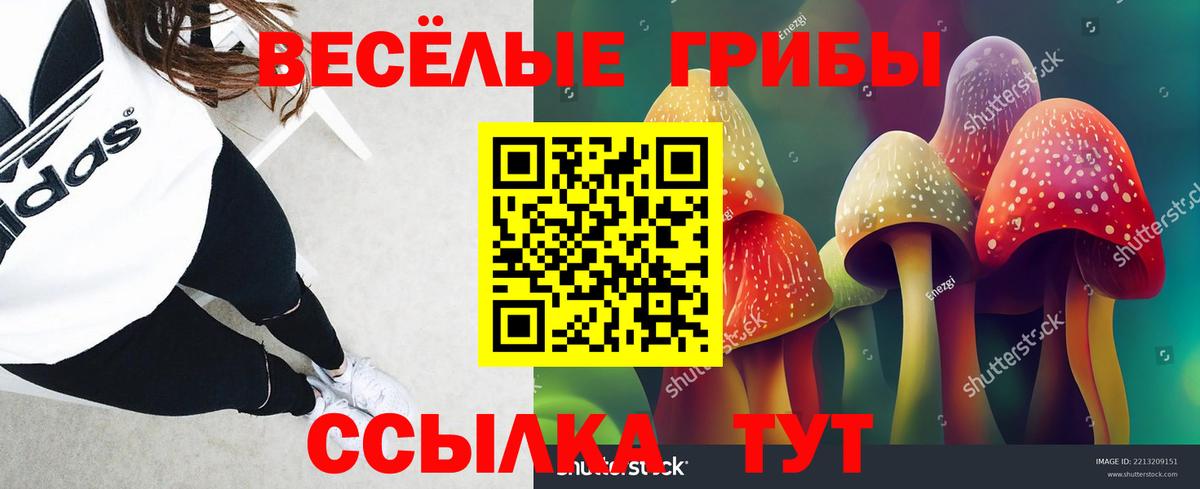 Галлюциногенные грибы Psilocybe  Вход с VPN  Псилоцибиновые грибы прущие грибы  Славянск-на-Кубани 